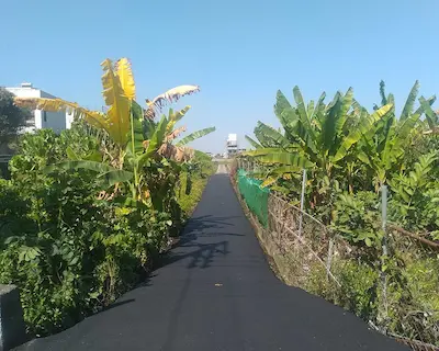 道路工程公司  整地工程後